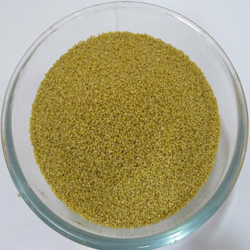 Foxtail Millet (Thinai) 1/2 KG