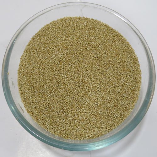 Kodo Millet (Varaghu) 1/2 KG