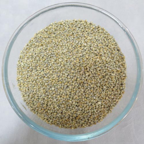 Little Millets (Samai) 1/2 KG